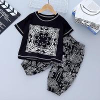 ราคา pandu ชุดเด็กชาย2 10ปี ชุดเด็กผู้ชาย ชุดเด็กลายช้าง กางเกงเด็กลายช้าง เสื้อยืดลายเพสลี่ย์ กางเกงช้าง เสื้อผ้าเด็กผู้ชาย (18762669244)