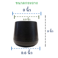 ราคา กระถางต้นไม้ กระถางเบลล่า กระถางพลาดสติก กระถางมินิมอล โมเดิร์น plant pot Pot Stand pot กระถางสวยๆ สีดำ งานไทย ขนาด 5 7 9 นิ้ว ราคาถูก พร้อมส่ง (15113487881)