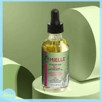 ราคา Rosemary Mint Scalp Hair Strengthening Oil With Biotin 2oz Hair Accessories (22129394055)