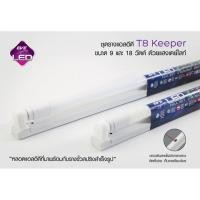 ราคา EVE ชุดรางแอลอีดี T8 ชุดรางนีออน หลอดยาว T8 รุ่น Keeper คีปเปอร์ ขนาด 9W แสงขาว ชนิดไฟเข้า 2 ทาง (9405841697)