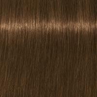 ราคา ไม่รวมไฮ Schwarzkopf Igora Royal Absolutes 60ml ปิดผมขาว สีสวย ไม่มืด (21427589844)