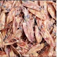 ราคา หมึกกะตอย ปลาหมึกแห้ง500กรัม ถูก ตรงปกไม่จกตา ปลาหมึก เนื้อนุ่ม อร่อย กลมกล่อม ปลาหมึกแห้งราคาถูก ปลาหมึกทะเลราคาส่ง (22111471398)