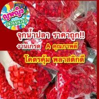 ราคา จุกน้ำปลา ราคาถูก จุกพลาสติก จุกน้ำปลางานวัด จุกยิงตุ๊กตาหล่น บูธเกมงานวัด ลูกปืนน้ำปลาของเล่น ของเล่นงานวัด ของเล่นเกมเด็ก (21298117309)