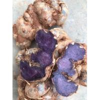 ราคา หัวกระชายดำสด 1 กิโล (5252180523)