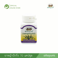 ราคา หญ้า ปักกิ่ง YA PAKKING Abhai (22535830643)