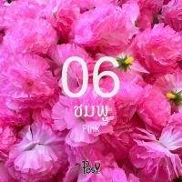 ราคา ดอกดาวเรือง ดอกดาวเรืองปลอม ดาวเรืองร้อยมาลัย ดอกดาวเรืองผ้า มีรูสำหรับร้อยเข็ม 50 ดอก 49 บาท ส่งไว (19835275333)