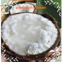 ราคา มะพร้าวกะทิทับสะแก (16180038240)