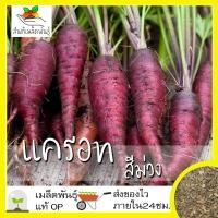 ราคา เมล็ดพันธุ์ แครอท สีม่วง 300 เมล็ด Cosmic Purple Carrot Seed เมล็ดพันธุ์แท้100 นำเข้าจากต่างประเทศ ปลูกผัก สวนครัว โตไว (7152862376)