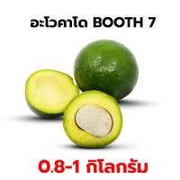 ราคา ส่งฟรีไม่ต้องใช้โค้ด อะโวคาโด 034 Booth 7 อะโวคาโดสด อโวคาโด้ เกรดพรีเมี่ยม 0 9 1 กิโลกรัม สายพันธุ์ที่อร่อยที่สุด สดใหม่ ส่งตรงจารสวน เกรดนำเข้า (22602007541)