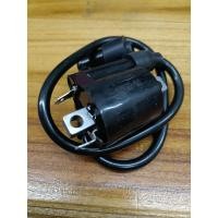 ราคา คอยหัวเทียน yamaha spark 115i หัวฉีดสินค้าเกรดดีส่งเร็ว (21553670383)