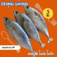 ราคา ปลาทูมันแดดเดียว แพ็ค3ตัว ของแท้ต้องแม่กลองแท้100 (21474539536)