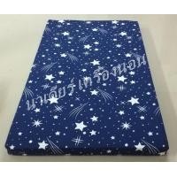 ราคา ที่นอนปิกนิค 3 5 ฟุต5 ฟุต 6 ฟุต ผ้าเกรดA ไม่ตกสี ทำความสะอาดง่ายมีซิปถอดซักได้ (10833556739)