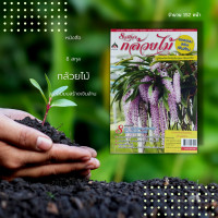 ราคา หนังสือ 8 สกุลกล้วยไม้ยอดนิยมสร้างเงินล้าน คู่มือสำหรับมือใหม่และมืออาชีพ พบกับ 8 กูรู นักพัฒนาสายพันธุ์กล้วยไม้มืออาชีพ (15757564295)