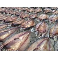 ราคา ปลาทูแขก แดดเดียว ขนาด450 500กรัม ปลาทะเล (22426542393)