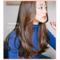 ราคา แฮร์พีช hairpiece งุ้มปลาย รุ่น Brownie (19746227095)