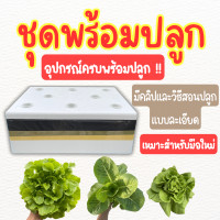 ราคา ชุดปลูกผักไฮโดรโปนิกส์ ชุดปลูกผักสลัด อุปกรณ์ครบพร้อมปลูก แถมเมล็ดผัก 3 ชนิด (21176773818)