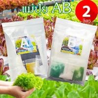 ราคา แม่ปุ๋ย AB เข้มข้น 2 ลิตร ถูกที่สุด 95 บ สำหรับผักไฮโดรโปนิกส์ ไฮโดรโปนิกส์ทุกระบบ ผักสลัด ผักไทย ปุ๋ยไฮโดรโปนิกส์ (22512839941)