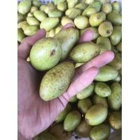 ราคา สดใหม่จากฟาร์ม มะกอก มะกอกเปรี้ยว มะกอกส้มตำ ราคา ถูก ส่ง (20927663064)