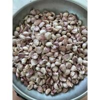 ราคา กระเทียมไทยแกะกลีบ 1กิโล แกะด้วยมือ กลีบอวบสวย สะอาด ไม่ลีบ ไม่ฝ่อ กระเทียมใหม่ กระเทียมไทย100 (19048907363)