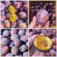 ราคา พรุนหวานสด 500กรัม ราชาแห่งไฟเบอร์ สุดยอดผลไม้ที่ดีต่อสุขภาพ หวานฉ่ำอร่อย (22592180463)