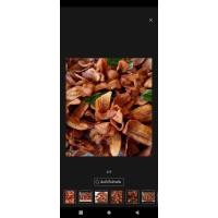 ราคา กล้วยเบรคแตก อบกรอบมันอร่อย 500g 1000kg (21596224004)