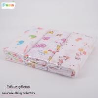 ราคา Natty Punn ผ้าอ้อมผ้าสาลู ซักได้ ชนิดขอบเย็บ รุ่น Classic ขนาด 21x21 นิ้ว บรรจุแพคละ 6 ผืน คละลายสีฟ้า 21x21 นิ้ว (22141586180)