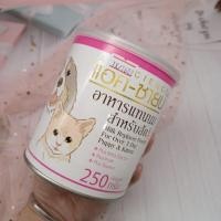 ราคา โคโค่แคท แอคซาย แอค ซายน์ สลิ้กกี้ Cocokat นมสัตว์เลี้ยง ลูกสัตว์ ชูการ์ไกรเดอร์ นมลูกสุนัข นมลูกแมว (17466925813)
