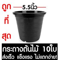 ราคา กระถางต้นไม้ กระถางพลาสติก ขนาด 5 5 นิ้ว 10ใบ กระถางกลม กระถางต้นไม้พลาสติก กระถางปลูกต้นไม้ กระถางดำ กระถางพลาสติกดำ Flower pot (2067602320)