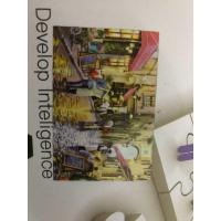 ราคา jigsaw จิ๊กซอว์1000ชิ้น ตัวต่อจิ๊กซอว์DIY จิ๊กซอว์ปริศนา ลายน่ารัก (21739834329)