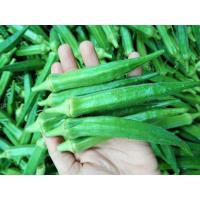 ราคา สดใหม่จากฟาร์มทุกวัน กระเจี๊ยบเขียวสด สดๆ อ่อนๆ ราคา ถูก ส่ง (22203651506)