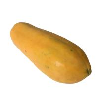 ราคา สดใหม่จากฟาร์ม มะละกอฮอลแลนด์ ห่าม 900 กรัม 1 กิโลกรัม มะระกอ มะละกอหวาน ฮอนแลน ช่วยเกษตร ผักผลไม้สดใหม่ ราคา ถูก ส่ง (20927665053)