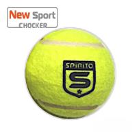 ราคา ลูกเทนนิส SPIRITO 3 ลูก รหัส 303153 (22466004915)