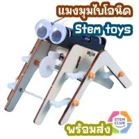 ราคา สิ่งประดิษฐ์ DIY แมงมุมไบโอนิคหุ่นยนต์แปดขา ของเล่นฝึกทักษะวิทยาศาสตร์สำหรับเด็ก โครงงานวิทย์ (22567357583)