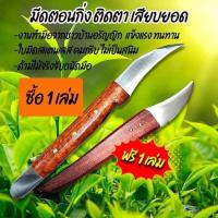 ราคา มีดตอนกิ่ง ติดตา เสียบยอด ใบมีดคมกริบไม่เป็นสนิม (21577457785)