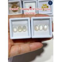 ราคา ธนาภรณ์ พลอยมุกดาหาร GSH1096 พลอยแท้100 รูปไข่ (22594249150)