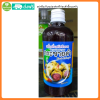 ราคา ส่งฟรี ลานไพร เครื่องดื่มสกัดชีวภาพ กระชายดำ 480 มล น้ำสกัดชีวภาพกระชายดำ สูตรเข้มข้น หมักนานกว่า5ปี บำรุงกำลัง ใส่น้ำผึ้งและน้ำตาล ทานง่าย (22146585555)