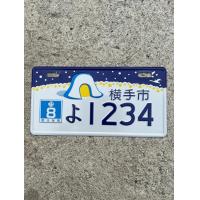 ราคา ป้ายทะเบียนญี่ปุ่นมีเยอะรถป๊อป รถไฟฟ้า ชาลี มั้งกี้ (22423705831)