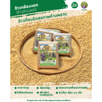 ราคา โปรโมชั่นเปิดร้านใหม่ ข้าวกล้องงอก ข้าวฮางงอก หอมมะลิ GABA RICE ข้าวเพื่อสุขภาพ ออร์แกนิก ขนาด 1 กิโลกรัม (21718272337)