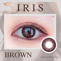 ราคา คอนแทคเลนส์ Iris Brown Brown ยี่ห้อ Beautylens ค่าสายตาปกติ 7 00 (22272512341)