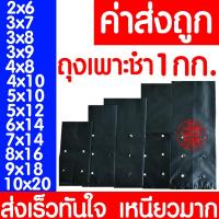 ราคา ค่าส่งถูก ถุงเพาะชำ 3x6นิ้ว 1กก ถุงเพาะ ถุงเพาะกล้า ถุงชำ ถุงดำเจาะรู ถุงปลูกต้นไม้ เนื้อมัน เหนียว หนา ถูกที่สุด (21777305088)
