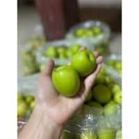 ราคา สดจาดฟาร์ม พุทรานมสดกางมุ้ง1kgสดจากสวน ราคาถูกที่สุด ราคาส่ง (21494140436)