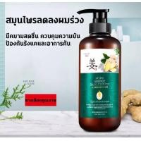 ราคา แชมพูขิง แชมพูแก้ผมร่วง แชมพูขิงเพียว แชมพูขิงชุดรวม แชมพูขิง บำรุงหนังศรีษะ ปลูกผม เร่งผมเกิดใหม่ ผมยาวไว Ginger Shampoo 300ml (20442223283)