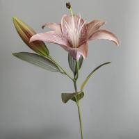 ราคา HONGUS ห้องนั่งเล่นในห้องนั่งเล่น สวนในสวน สง่างามเรียบหรู แต่งงานในงานแต่งงาน สไตล์นอร์ดิก ลายดอกไม้ดอกไม้ ต้นไม้ปลอมปลอม ลิลลี่เทียม ช่อดอกไม้สำหรับเก็บสัมภาระ ดอกไม้ประดิษฐ์ประดิษฐ์ (22361815670)