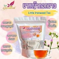 ราคา ชาหญ้าดอกขาว หญ้าดอกขาว Little Ironweed Tea (12617067861)