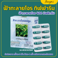 ราคา ฟ้าทะลายโจร กิฟฟารีน ฟ้าทะลายโจรแคปซูล ฟ้าทะลายโจร 400 มิลลิกรัม (22182413631)