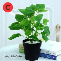 ราคา ต้นไม้ประดิษฐ์ ต้นไม้ปลอม ต้นไม้แต่งบ้าน ต้นไม้ปลอมขนาดเล็กพร้อมกระถางและหิน (15379924442)