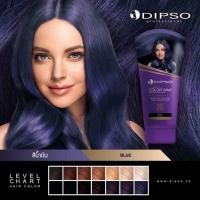 ราคา Dipso Super Shine Hair Color Wax ดิ๊ฟโซ่ แว็กซ์สี 150กรัม (9939078262)