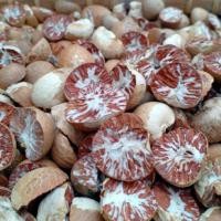 ราคา สดจากฟาร์ม หมากแห้งผ่าซีก หมากแห้งอย่างดี หมากพลู หมากแห้งผ่าซีก หมากแห้งพม่า หมากแก่ สดใหม่ ส่งฟรีเก็บเงินปลายทาง ราคาถูก ที่สุด ราคาส่ง (21417752202)