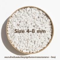ราคา เพอร์ไลท์ perlite 5 ลิตร ซื้อ 10ลิตร เหลือ 110บาท (17255401606)
