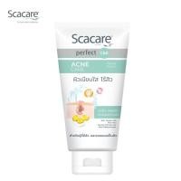ราคา Scacare สกาแคร์ โฟมล้างหน้า เพอร์เฟ็คท์ แอคเน่แคร์ 100g 1 หลอด (22318474538)